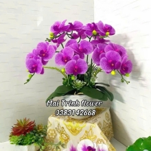 Lan Hồ Điệp