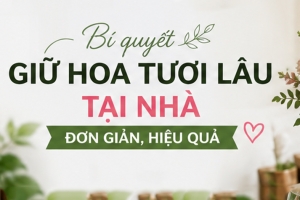 Bí Quyết Giữ Hoa Tươi Lâu Tại Nhà Đơn Giản, Hiệu Quả