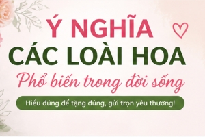 Ý Nghĩa Các Loài Hoa Phổ Biến Trong Đời Sống – Hiểu Đúng Để Tặng Đúng