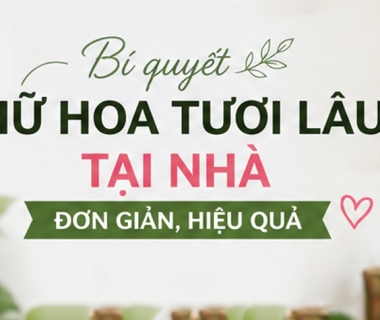 Bí Quyết Giữ Hoa Tươi Lâu Tại Nhà Đơn Giản, Hiệu Quả