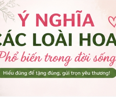 Ý Nghĩa Các Loài Hoa Phổ Biến Trong Đời Sống – Hiểu Đúng Để Tặng Đúng
