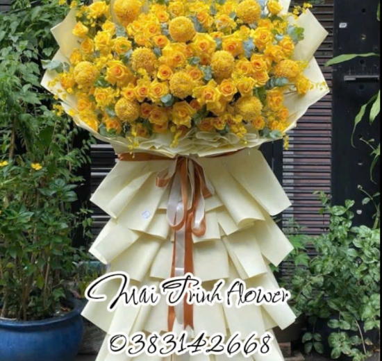 Hoa Chúc Mừng 05