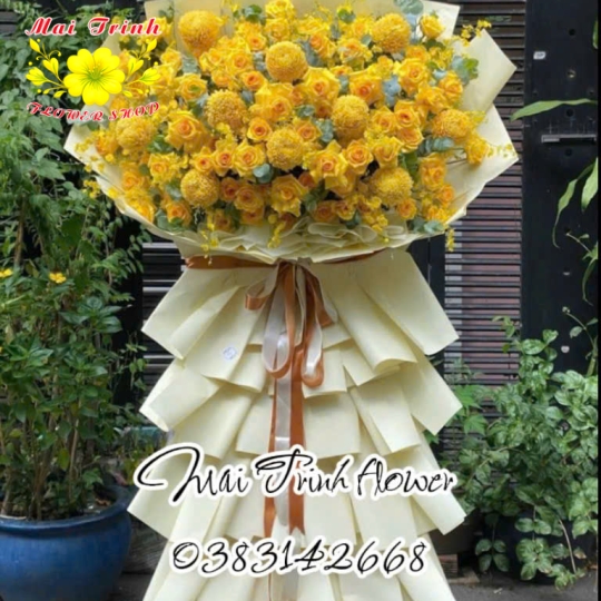 Hoa Chúc Mừng 05