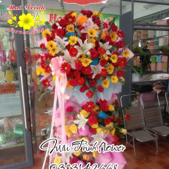 Hoa Chúc Mừng 05