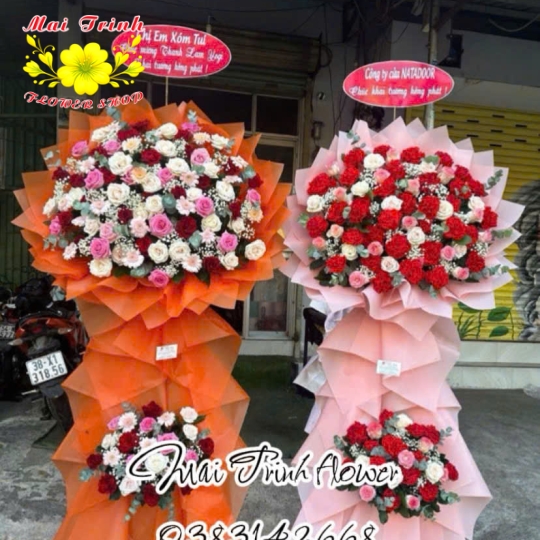 Hoa Chúc Mừng 06
