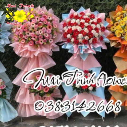 Hoa Chúc Mừng 05